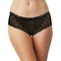 Polka Dot Mesh and Lace Hipster